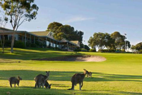 Early Settlers Motel Tocumwal - Grafton Accommodation 6