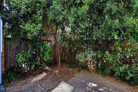 Aqua Viva 2 - Grafton Accommodation 1