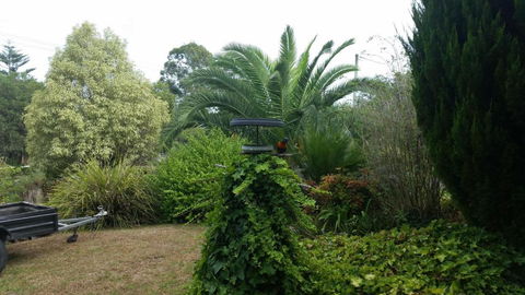 Cottage By The Bay - Grafton Accommodation 2