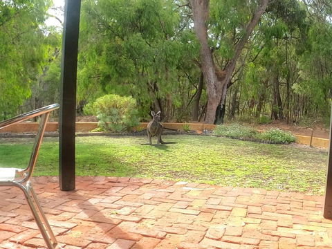Yallingup Pet Friendly Bush Retreat - Grafton Accommodation 5