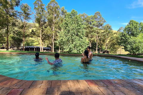 Nirvana Spiritual Retreat - Grafton Accommodation 4