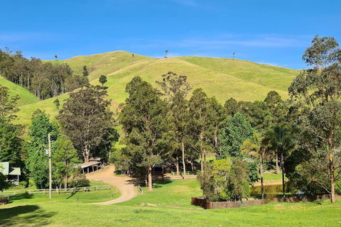 Nirvana Spiritual Retreat - Grafton Accommodation 6