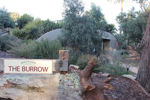 Down To Earth Farm Retreat - Grafton Accommodation 3