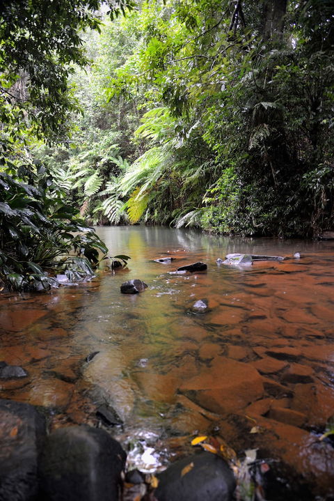 Mena Creek Flower House - Grafton Accommodation 2