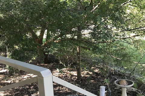 Padthaway Caravan Park - Grafton Accommodation 4