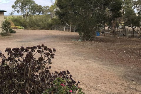 Padthaway Caravan Park - Grafton Accommodation 1