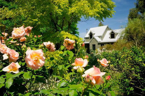 Brigadoon Cottages - Grafton Accommodation 4