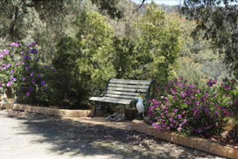 Wild Cherry Bed & Breakfast - Grafton Accommodation 3