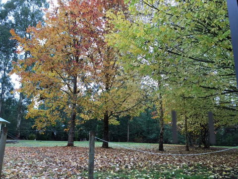 Goldberryaccommodation - Grafton Accommodation 1