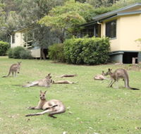 Depot Beach Cabins - Grafton Accommodation