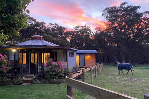 Ionaforest Yurt & Shepherds Hut - Grafton Accommodation 3