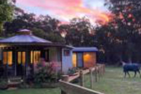 Ionaforest Yurt & Shepherds Hut - Grafton Accommodation 0