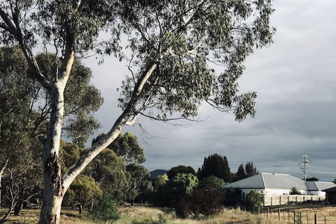 Sweet Dreams Retreat At Lara - Grafton Accommodation 1
