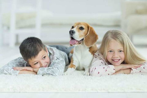 Boutique Stays County Down Port Melbourne - Grafton Accommodation 6