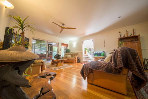 The Tree House. Treetop Living Near The Ocean Coolum Beach QLD Australia - Grafton Accommodation 4