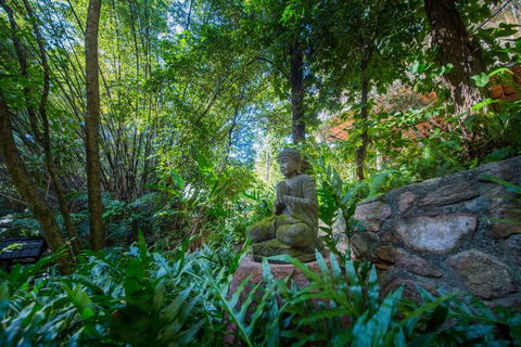 The Tree House. Treetop Living Near The Ocean Coolum Beach QLD Australia - Grafton Accommodation 2