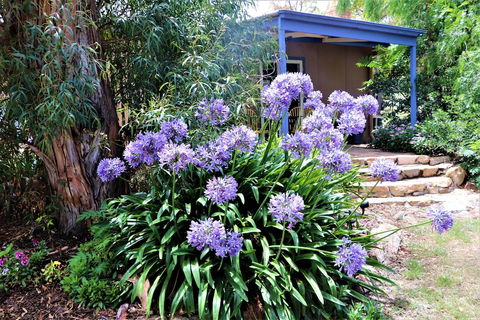 A Stanthorpe Getaway - Grafton Accommodation 4