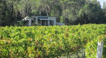 Just Red Wines Vineyard Cabins - Grafton Accommodation 3