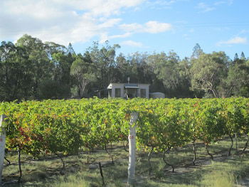 Just Red Wines Vineyard Cabins - Grafton Accommodation 5