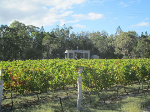 Just Red Wines Vineyard Cabins - Grafton Accommodation 6