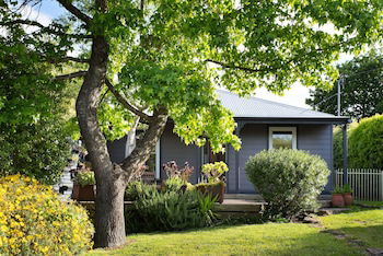 Absolute - Grafton Accommodation 0