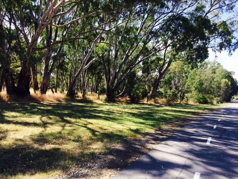 Echuca Moama Holiday Accommodation 3 - Grafton Accommodation 2