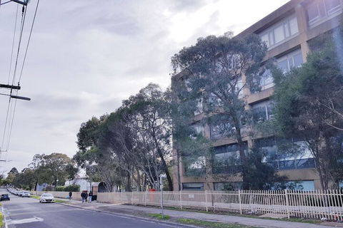 Clayton Apartment - Grafton Accommodation 4