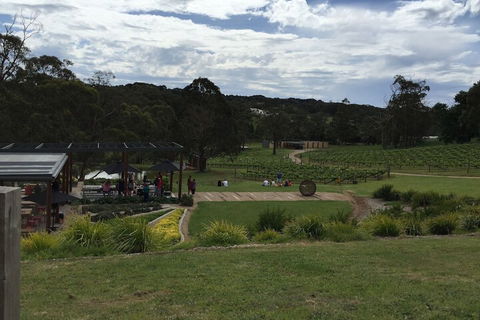 Aquawaters House By Barefoot Beach Stays - Grafton Accommodation 5