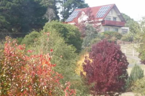 Abelia BIG SPA NO 1 Cottage - Grafton Accommodation 2