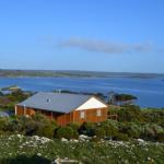 Pelican Lagoon Cabin - Grafton Accommodation 0