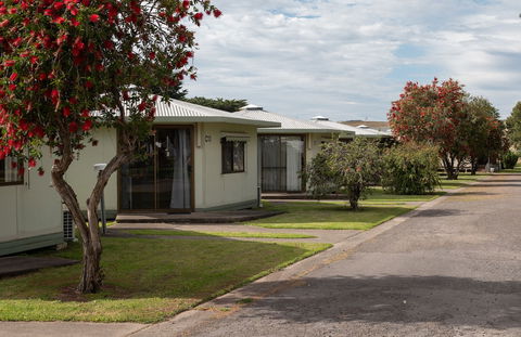 Pine Country Caravan Park - Grafton Accommodation 0