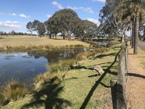 Rivers Apartments & Motel Sale Gippsland - Grafton Accommodation 4