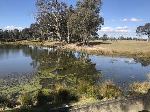 Rivers Apartments & Motel Sale Gippsland - Grafton Accommodation 0