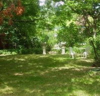 Clevedon Manor - Grafton Accommodation
