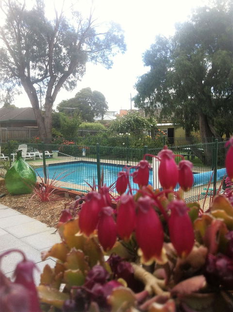 Parkwood Motel And Apartments - Grafton Accommodation 3