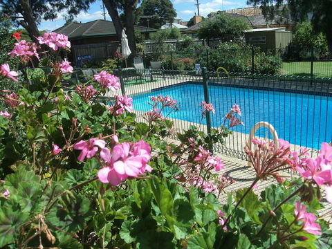 Parkwood Motel And Apartments - Grafton Accommodation 2