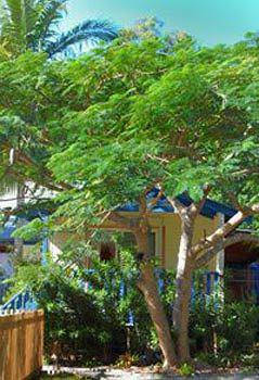 Ewingsdale NSW Grafton Accommodation