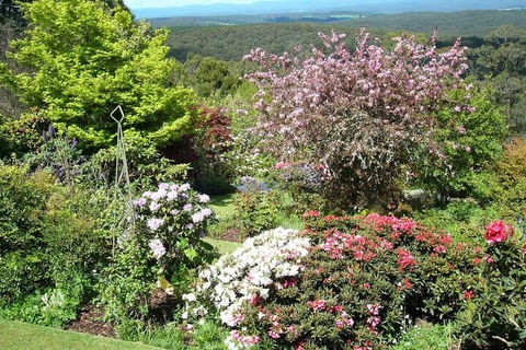 Wanawong Retreat - Grafton Accommodation 3