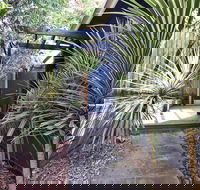 Lornebeach Apartments - Grafton Accommodation