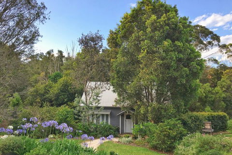 Abelia House - Grafton Accommodation 1