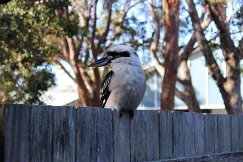 POINT BREAK WEEKLY ONLY - Grafton Accommodation 2
