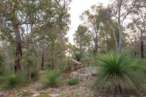 A Hidden Bush Delight - Grafton Accommodation 6