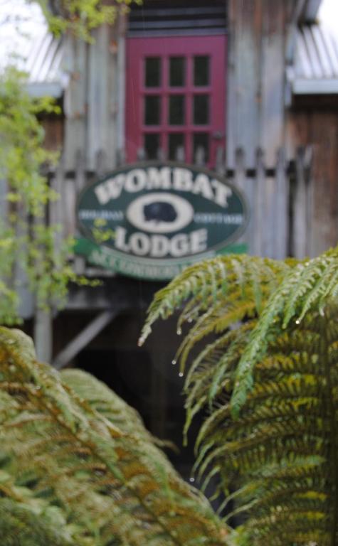 The Wombat Cottage - Grafton Accommodation 1