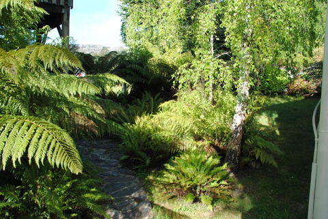The Wombat Cottage - Grafton Accommodation 4
