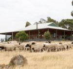 Gilgraves Vineyard Farmstay - Grafton Accommodation