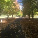 A Peaceful Cabin In The Country - Grafton Accommodation 0