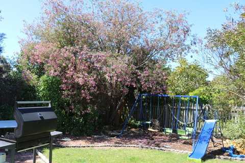 Sisters Beach Paradise - Grafton Accommodation 3