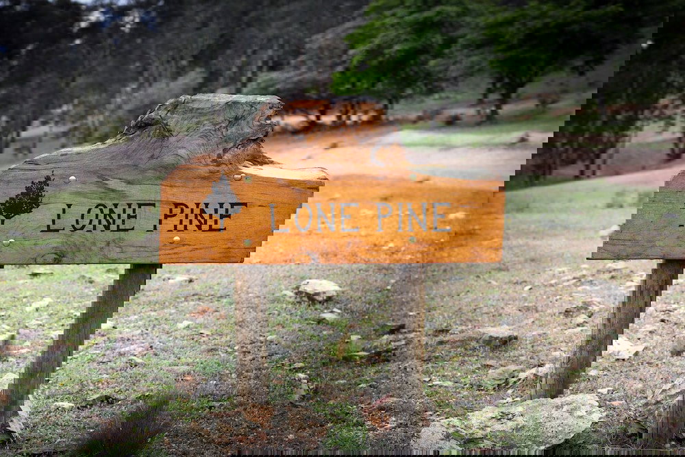 Meroo NSW Grafton Accommodation