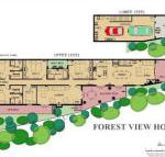 Forest View - Grafton Accommodation