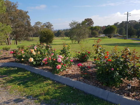 Kandos Fairways Motel - Grafton Accommodation 4